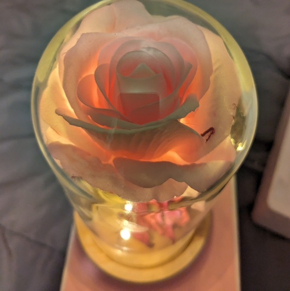 Light up pink rose in glass LED string lights batteries included - Picture 3 of 6